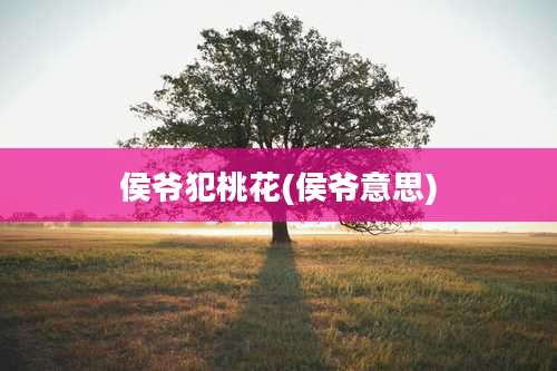 侯爷犯桃花(侯爷意思)