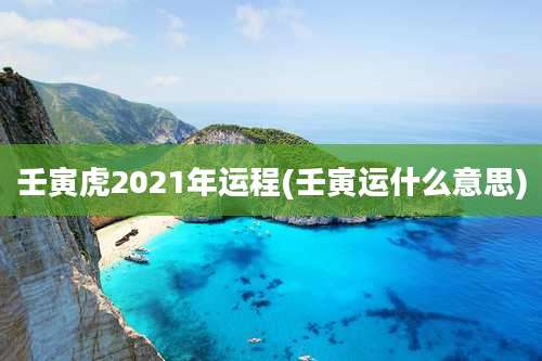 壬寅虎2021年运程(壬寅运什么意思)