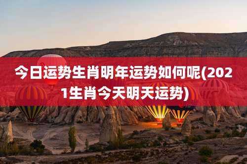 今日运势生肖明年运势如何呢(2021生肖今天明天运势)