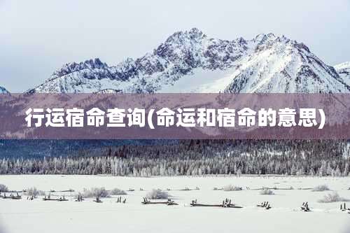 行运宿命查询(命运和宿命的意思)