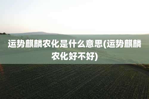 运势麒麟农化是什么意思(运势麒麟农化好不好)