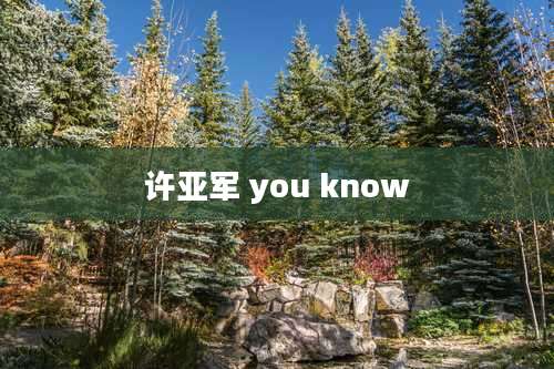 许亚军 you know
