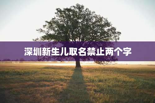 深圳新生儿取名禁止两个字