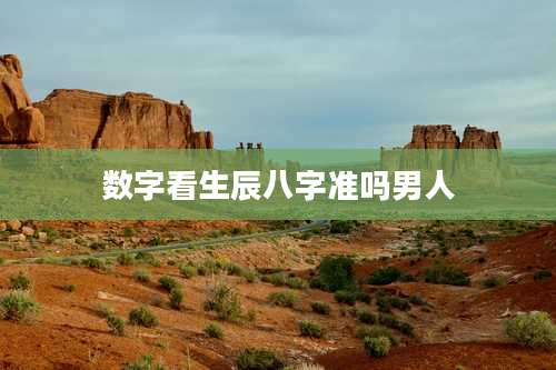 数字看生辰八字准吗男人