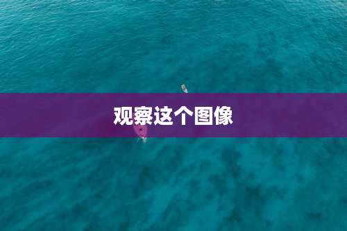 观察这个图像