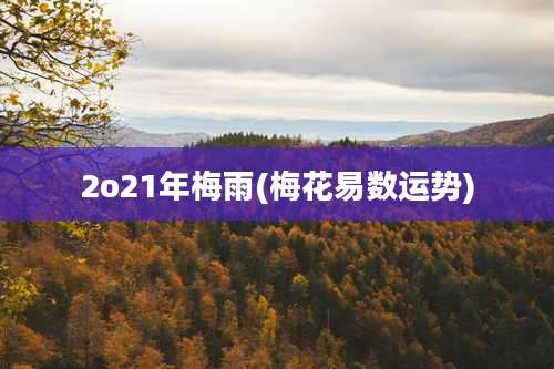 2o21年梅雨(梅花易数运势)