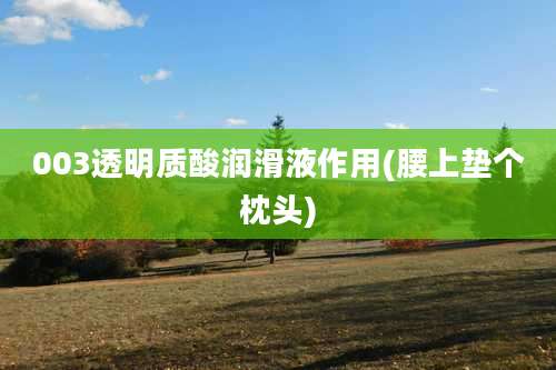 003透明质酸润滑液作用(腰上垫个枕头)
