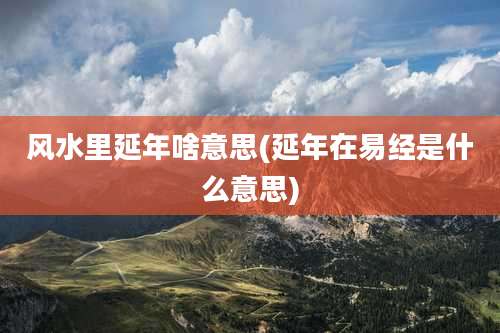 风水里延年啥意思(延年在易经是什么意思)