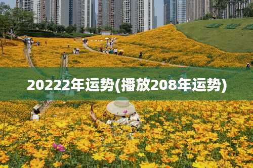 20222年运势(播放208年运势)