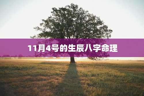 11月4号的生辰八字命理