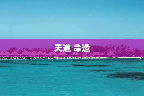 天道 命运