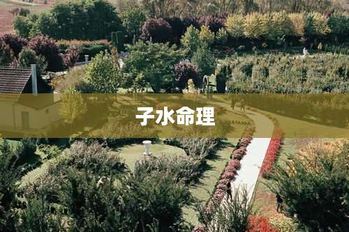 子水命理