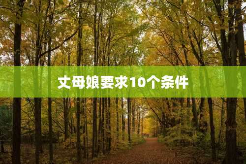 丈母娘要求10个条件