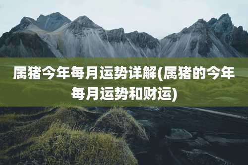 属猪今年每月运势详解(属猪的今年每月运势和财运)