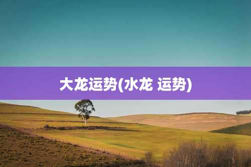 大龙运势(水龙 运势)