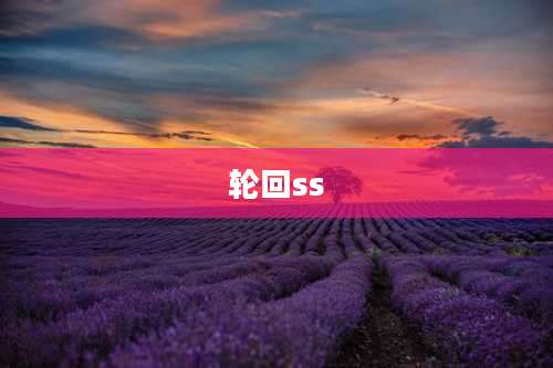 轮回ss
