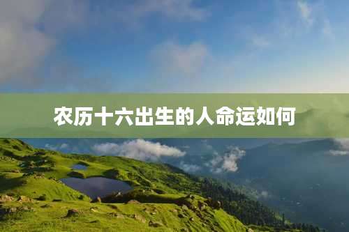 农历十六出生的人命运如何