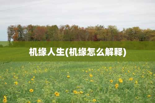 机缘人生(机缘怎么解释)