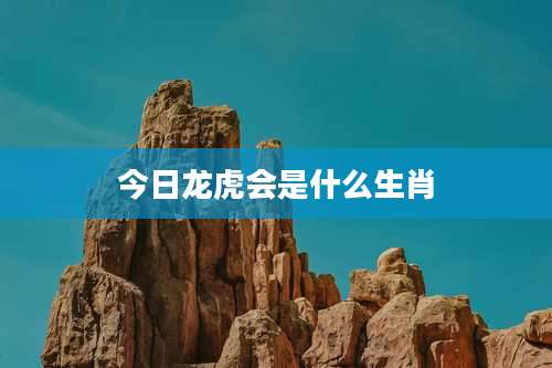 今日龙虎会是什么生肖