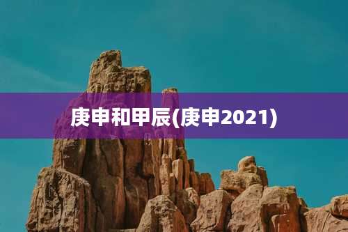 庚申和甲辰(庚申2021)