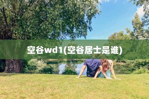 空谷wd1(空谷居士是谁)