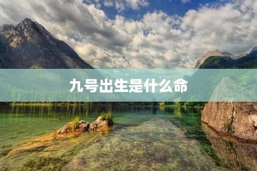 九号出生是什么命
