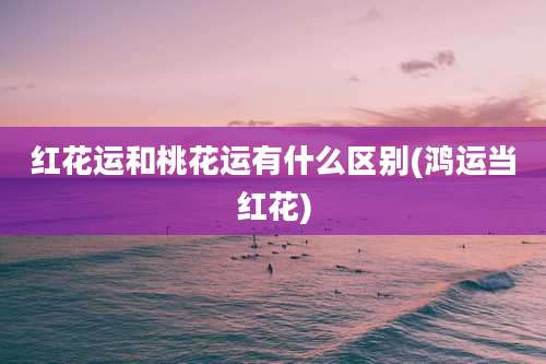 红花运和桃花运有什么区别(鸿运当红花)
