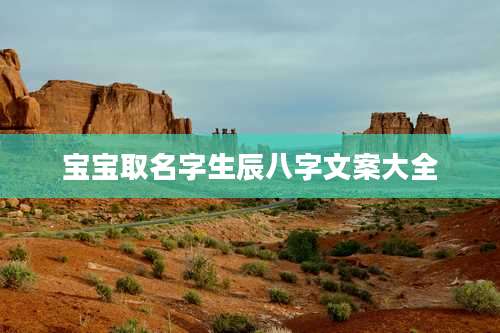 宝宝取名字生辰八字文案大全
