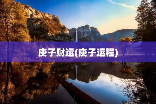 庚子财运(庚子运程)