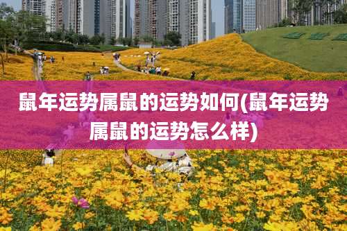 鼠年运势属鼠的运势如何(鼠年运势属鼠的运势怎么样)