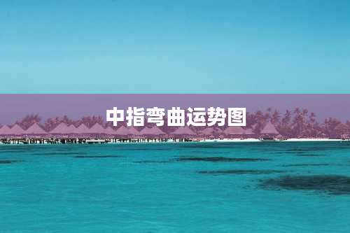 中指弯曲运势图