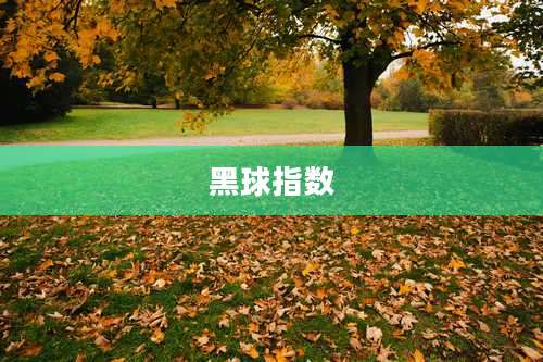 黑球指数