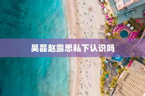 吴磊赵露思私下认识吗