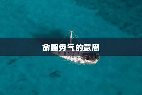 命理秀气的意思