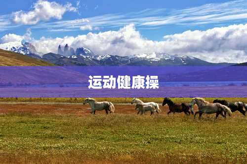 运动健康操