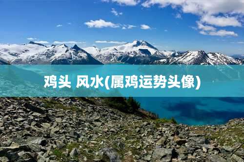 鸡头 风水(属鸡运势头像)