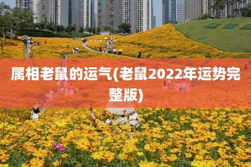 属相老鼠的运气(老鼠2022年运势完整版)