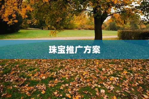 珠宝推广方案