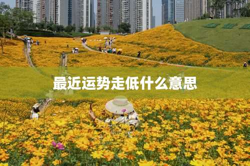 最近运势走低什么意思