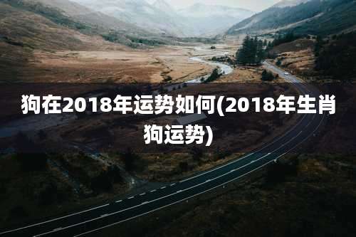 狗在2018年运势如何(2018年生肖狗运势)