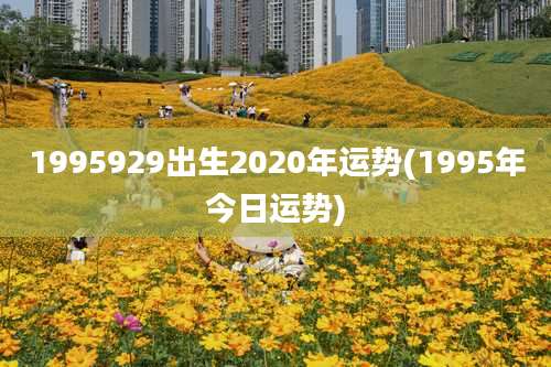 1995929出生2020年运势(1995年今日运势)