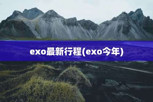 exo最新行程(exo今年)