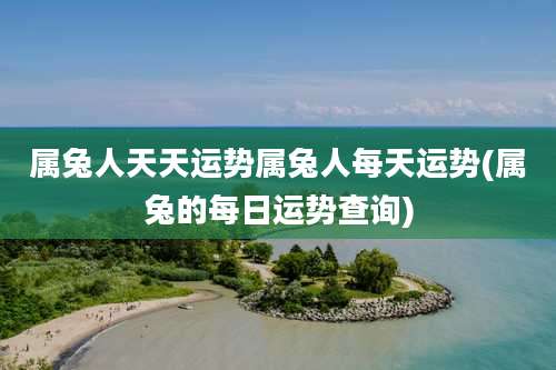 属兔人天天运势属兔人每天运势(属兔的每日运势查询)