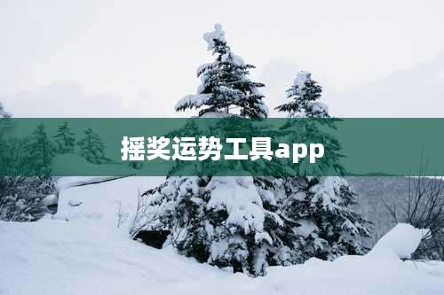 摇奖运势工具app