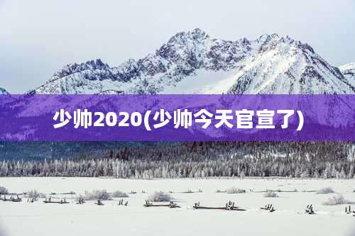 少帅2020(少帅今天官宣了)
