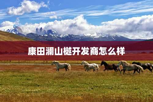 康田澜山樾开发商怎么样