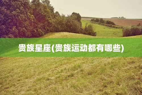 贵族星座(贵族运动都有哪些)