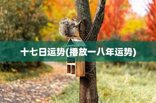 十七日运势(播放一八年运势)