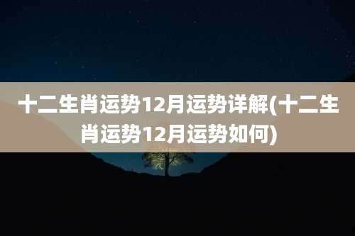 十二生肖运势12月运势详解(十二生肖运势12月运势如何)