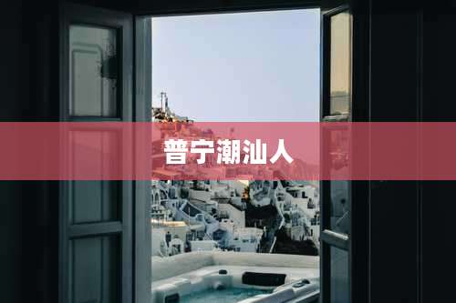 普宁潮汕人